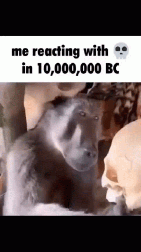 Skull Skull Reaction GIF - Skull Skull Reaction Me Reacting With Skull In10000000bc GIFs