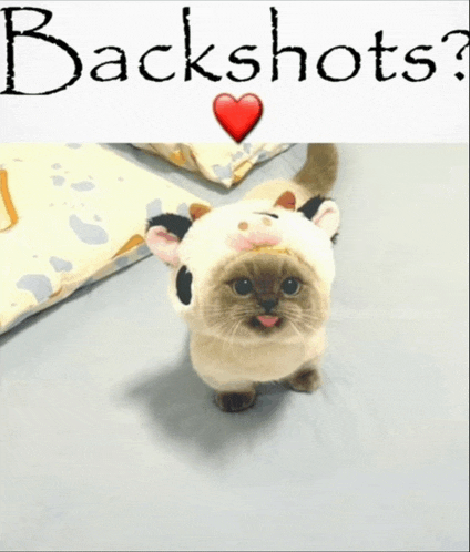 a cat wearing a cow costume with the words " backshots " behind it