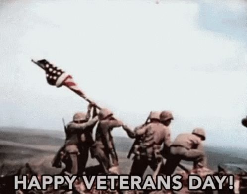 Thank You For Your Service Flag GIF - Thank You For Your Service Flag Happy Veterans Day GIFs