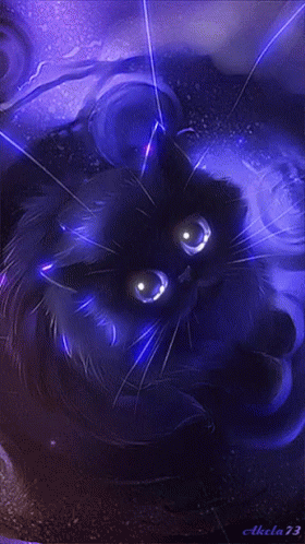 Blue Cat GIF - Blue Cat Kitten GIFs