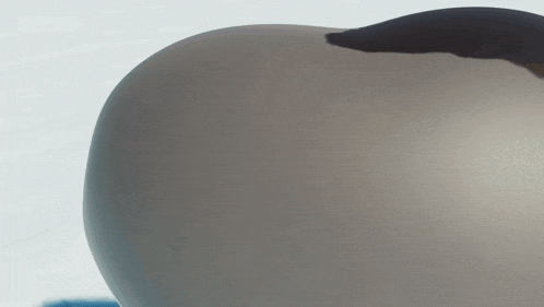 a close up of a penguin 's butt on a snowy surface .