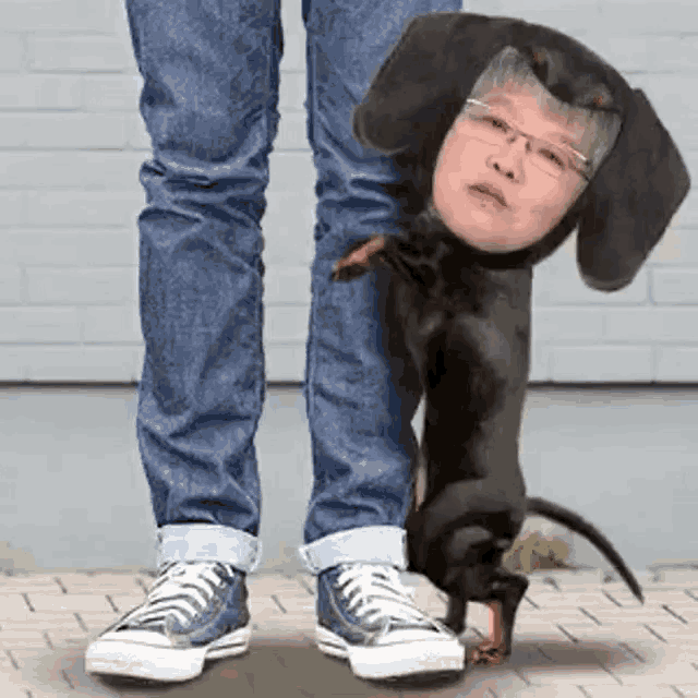 a person standing next to a small black dog with their face on it