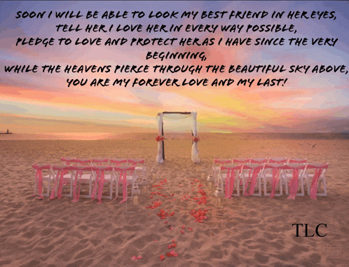 a picture of a beach with a quote from tlc on it