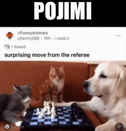 a dog and two cats are playing chess and the caption says pojimi