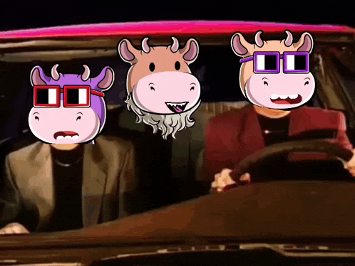 three cows wearing sunglasses are driving a car at night