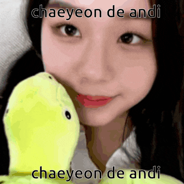a girl holding a stuffed animal with the words chaeyeon de andi written above her