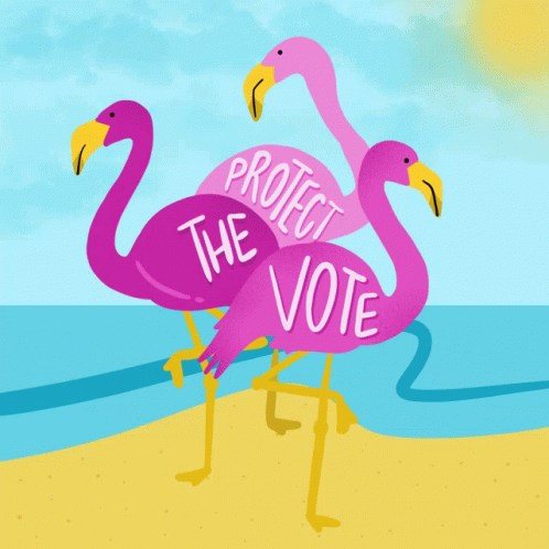Protect The Vote Flamingo GIF - Protect The Vote Flamingo Florida GIFs