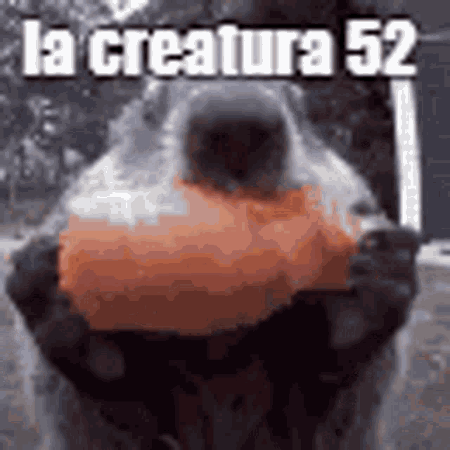 a close up of a bird holding an orange ball with the words `` la creature 52 '' written on it .