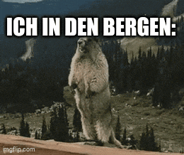 a groundhog standing on its hind legs with the words ich in den bergen written above it