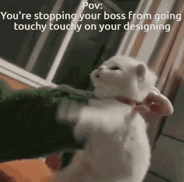 Cat Stuggle GIF - Cat Stuggle Boss GIFs