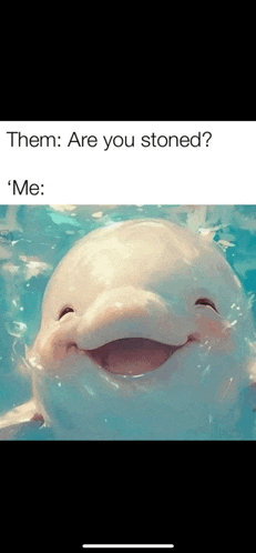 a dolphin is smiling in the water with a caption that says `` them : are you stoned ? me : '' .