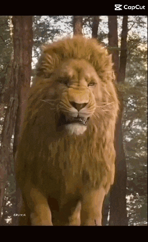 a lion is standing in the middle of a forest looking at the camera .