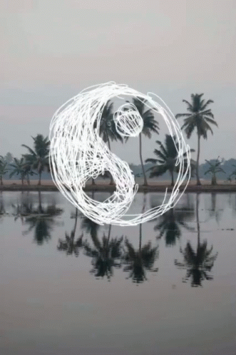 Chill GIF - Peacesign GIFs