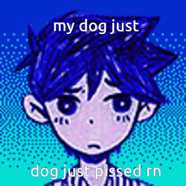 a drawing of a boy with blue hair and a caption that says my dog just dog just pissed rn