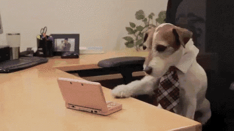 a dog wearing a tie is playing a video game on a pink laptop