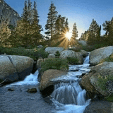 the sun is shining through the trees over a stream
