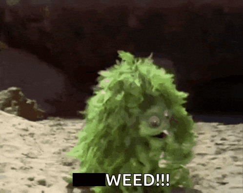 a green monster with the word weed written on the bottom