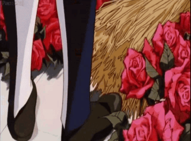 a person standing next to a bunch of red roses