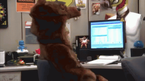a stuffed animal is sitting in front of a computer with a warning sign on the wall behind it