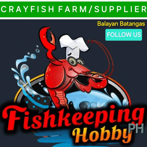 a logo for crayfish farm / supplier fishkeeping hobby