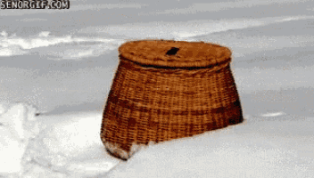 a wicker basket is sitting in the snow with senorgif.com in the upper right corner