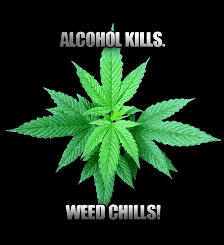 a marijuana leaf with the words alcohol kills weed chills