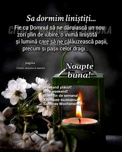 a green lantern with a lit candle and flowers in the background with a quote in another language