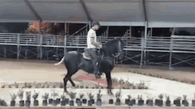 a man is riding a black horse in a ring
