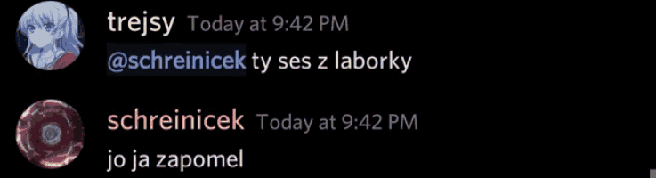 a screenshot of a conversation between treisy and schreinicek