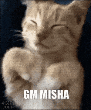 Gm Misha Good Morning GIF - Gm Misha Misha Good Morning GIFs