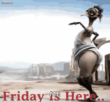 Friday Is Here Dance GIF - Friday Is Here Dance Bird GIFs