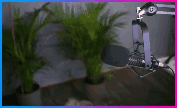 a woman is standing in front of a microphone with plants in the background .