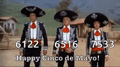 Cinco De Mayo Funny GIF - Cinco De Mayo Funny Fun GIFs