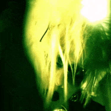 a close up of a person 's face in a dark room