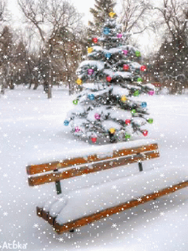 Christmas Tree Snow GIF - Christmas Tree Snow Winter GIFs