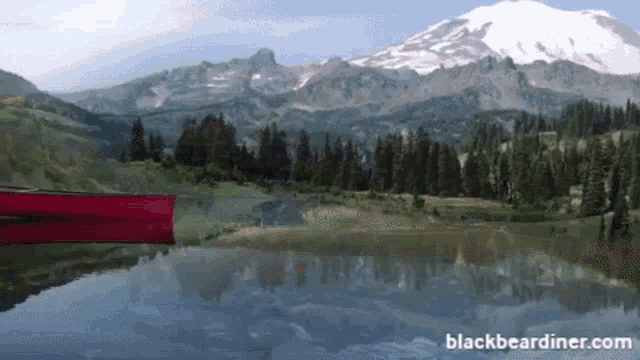 Camping Outdoors GIF