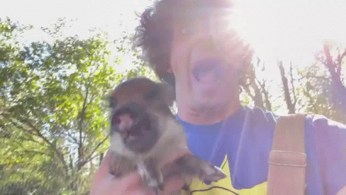 Urban Rescue Ranch Uncle Ben GIF - Urban Rescue Ranch Uncle Ben Holding Pig GIFs