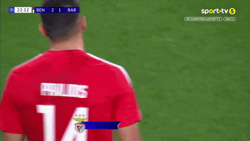 a soccer player wearing a red shirt with the number 14 on it