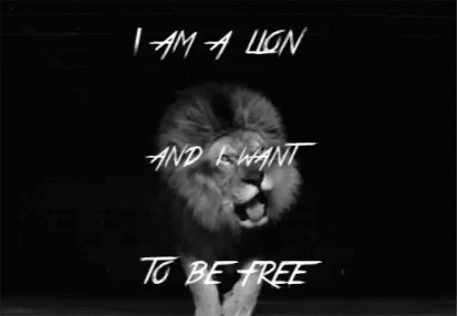 Lion Free GIF - Lion Free GIFs