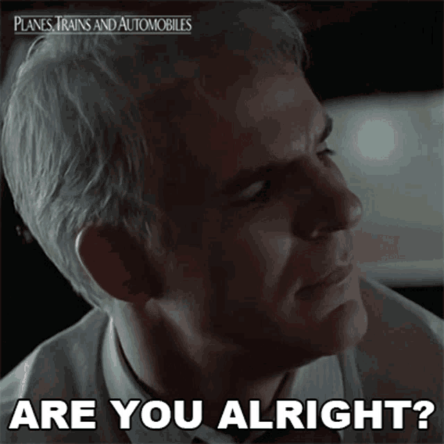 Are You Alright Neal Page GIF - Are You Alright Neal Page Steve Martin GIFs