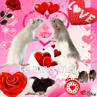 a valentine 's day greeting card with mice and hearts and the words te amo mei