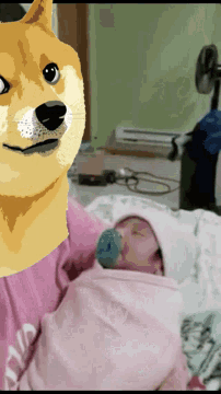 a dog is laying next to a baby in a pink blanket