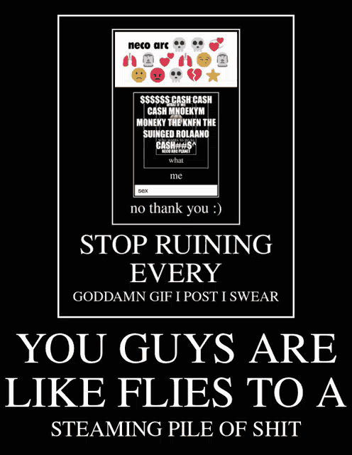 a poster says stop ruining every goddamn gif i post i swear