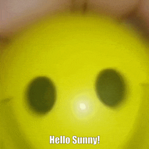Hello Sunny Glaggle GIF - Hello Sunny Glaggle GIFs