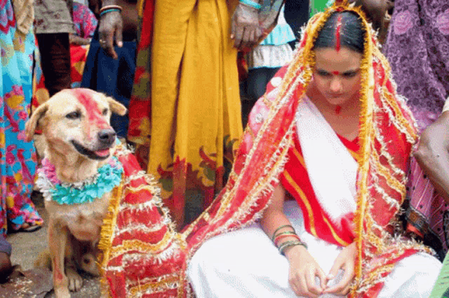 a woman in a white dress sits next to a dog dressed as a bride and groom