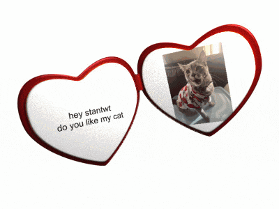 a pair of heart shaped glasses with a picture of a cat on them