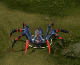 a blue and red spider is sitting in a circle in the grass .