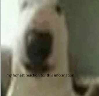 a blurred image of a dog with the words " my honest reaction for this information " above it