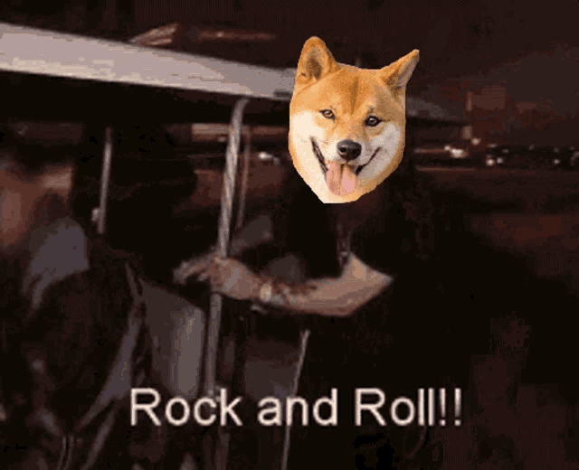 a picture of a man with a dog on his head and the words rock and roll