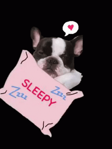 Good Night Sleepy GIF - Good Night Sleepy Sleep Tight GIFs